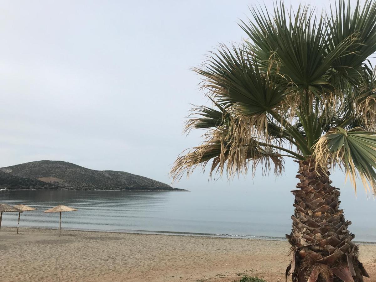 Cosy Studio 2 Minutes Walking From The Beach Анависос Екстериор снимка